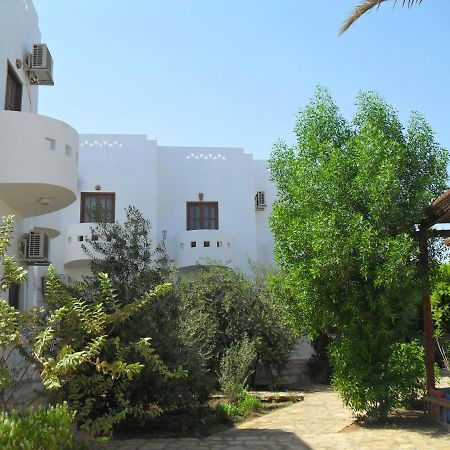 Alaska Camp&Hotel Dahab Rum bild